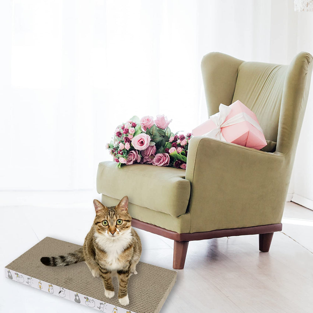 PatiencET sachets d'herbe à chat inclus pour attirer l'intérêt