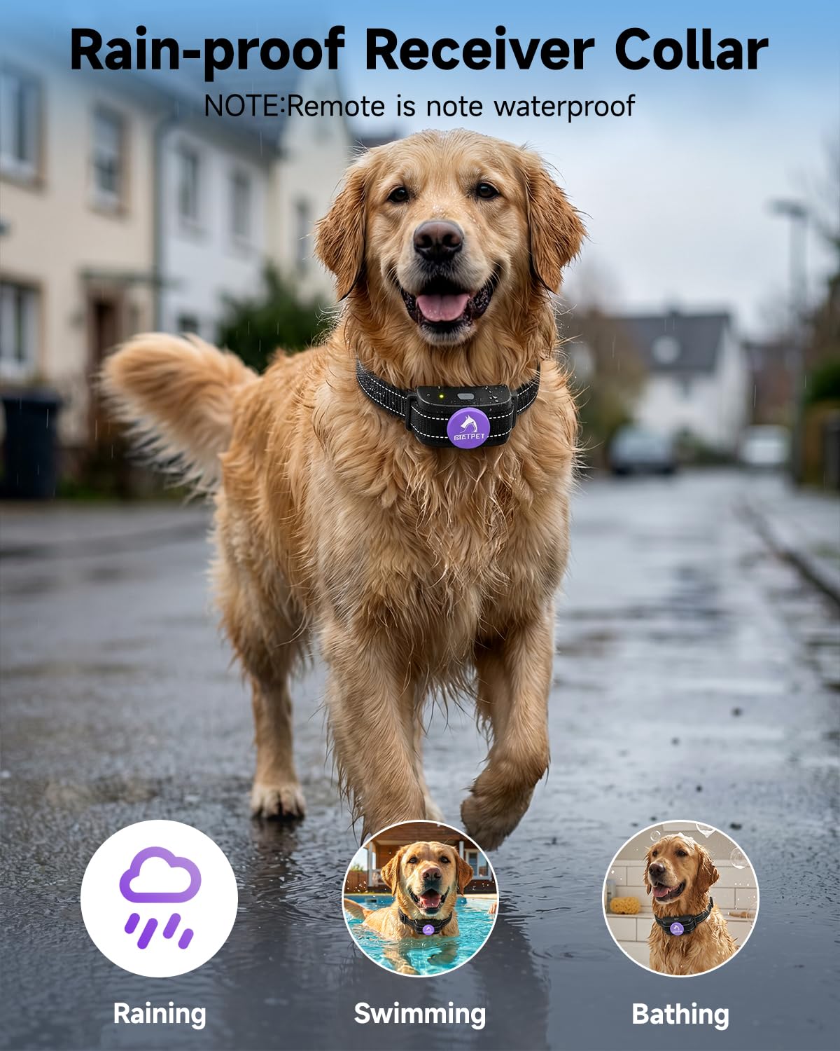 PATPET comparaison de taille du collier pour ajustement sur chiens variés