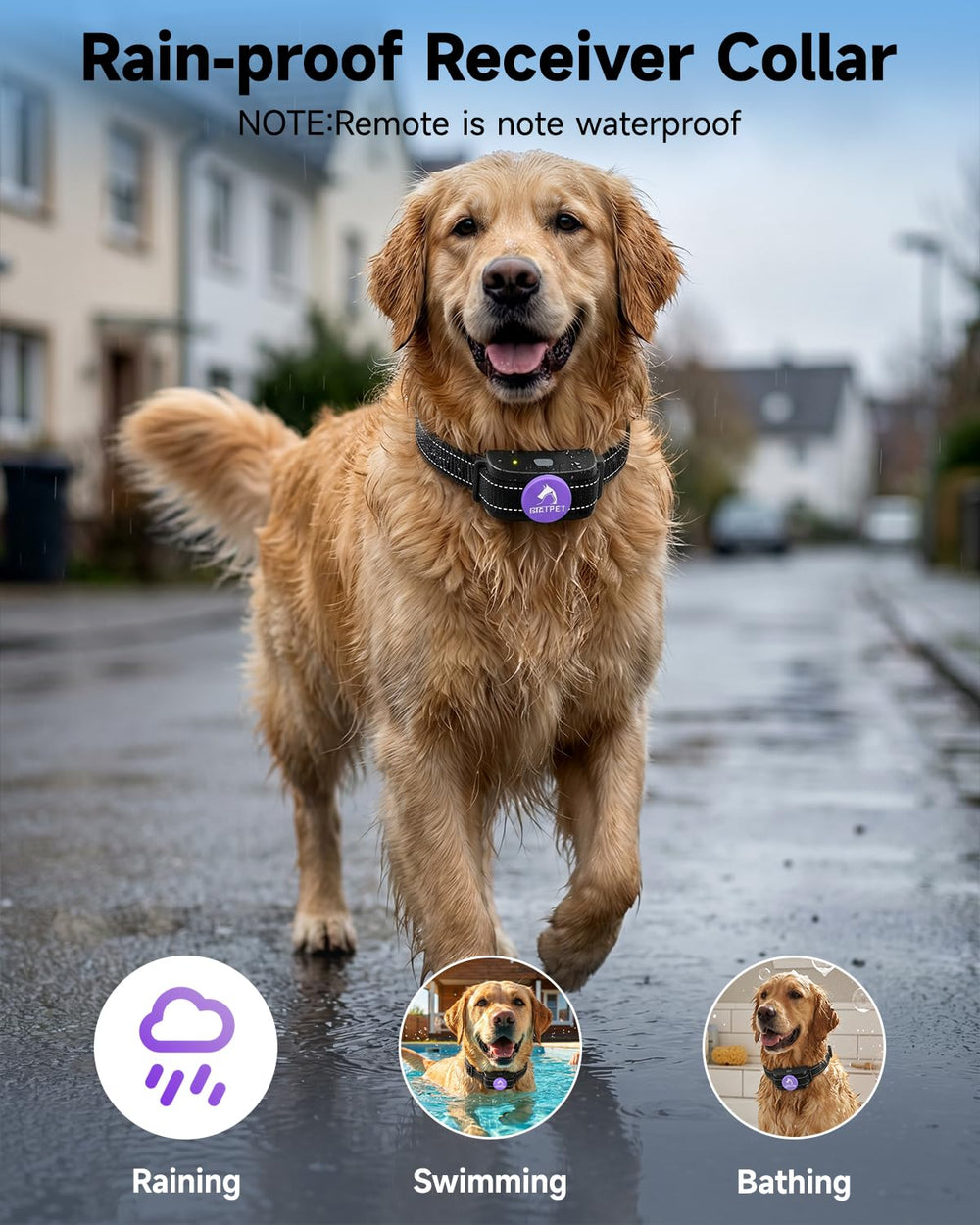 PATPET comparaison de taille du collier pour ajustement sur chiens variés