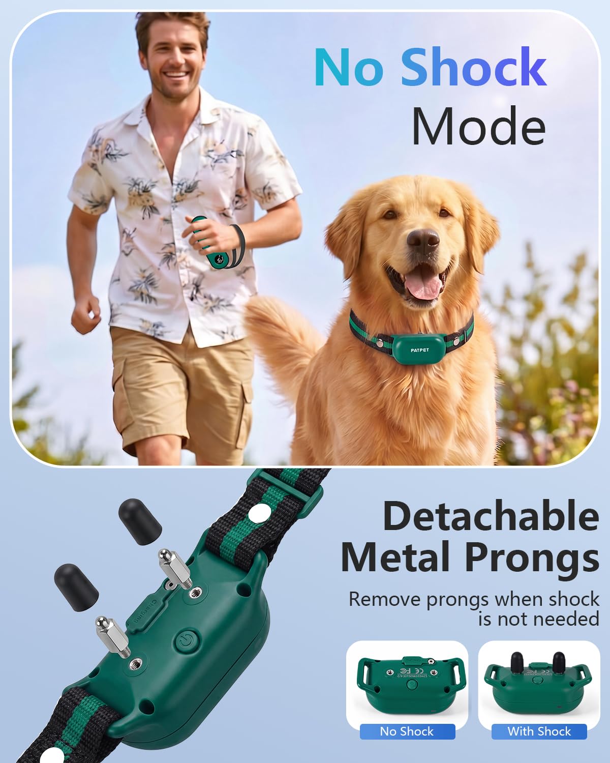 PATPET sangle en nylon résistante gros plan garantissant durabilité et confort