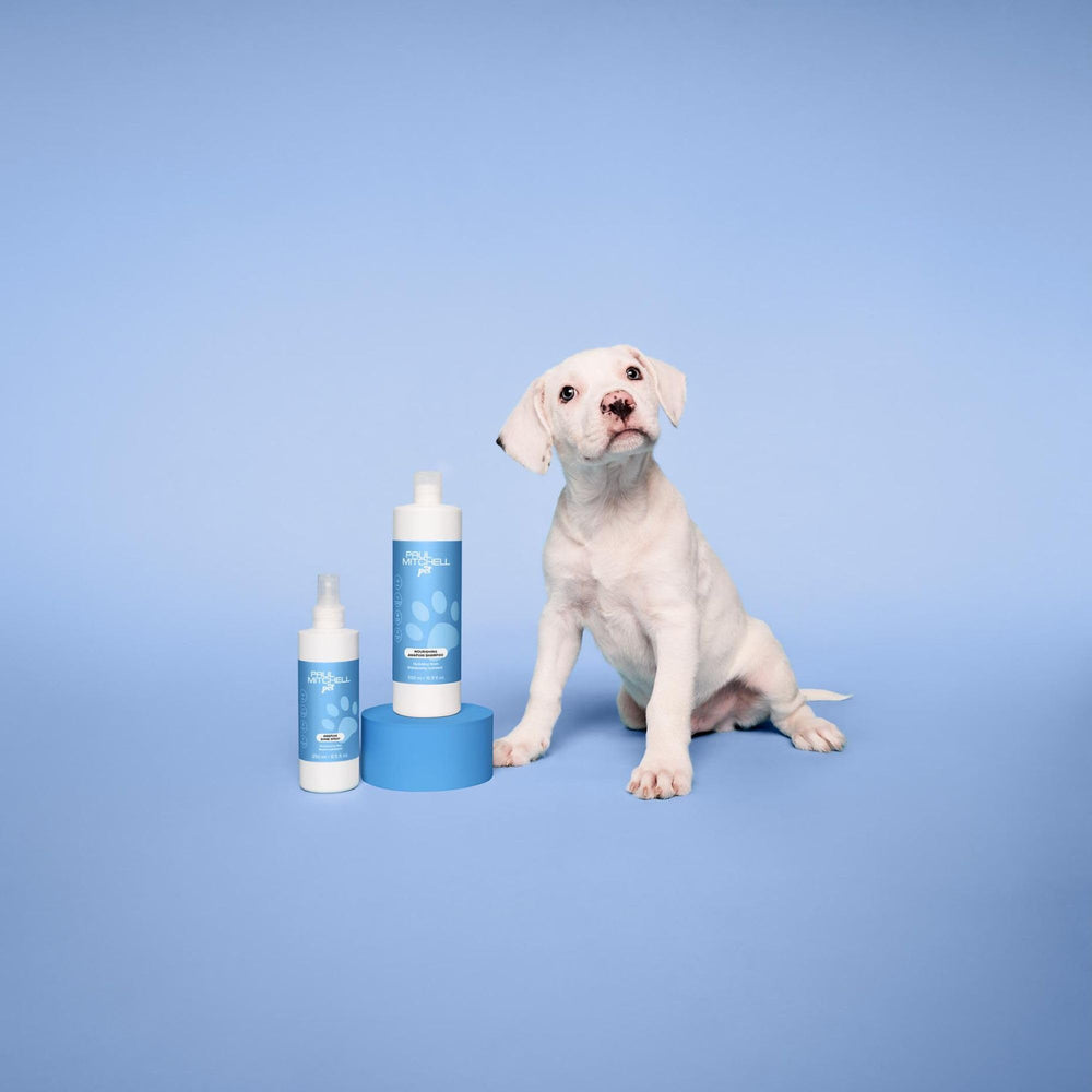 Paul Mitchell Pet flacon 500 ml comparé à objet courant pour évaluer capacité