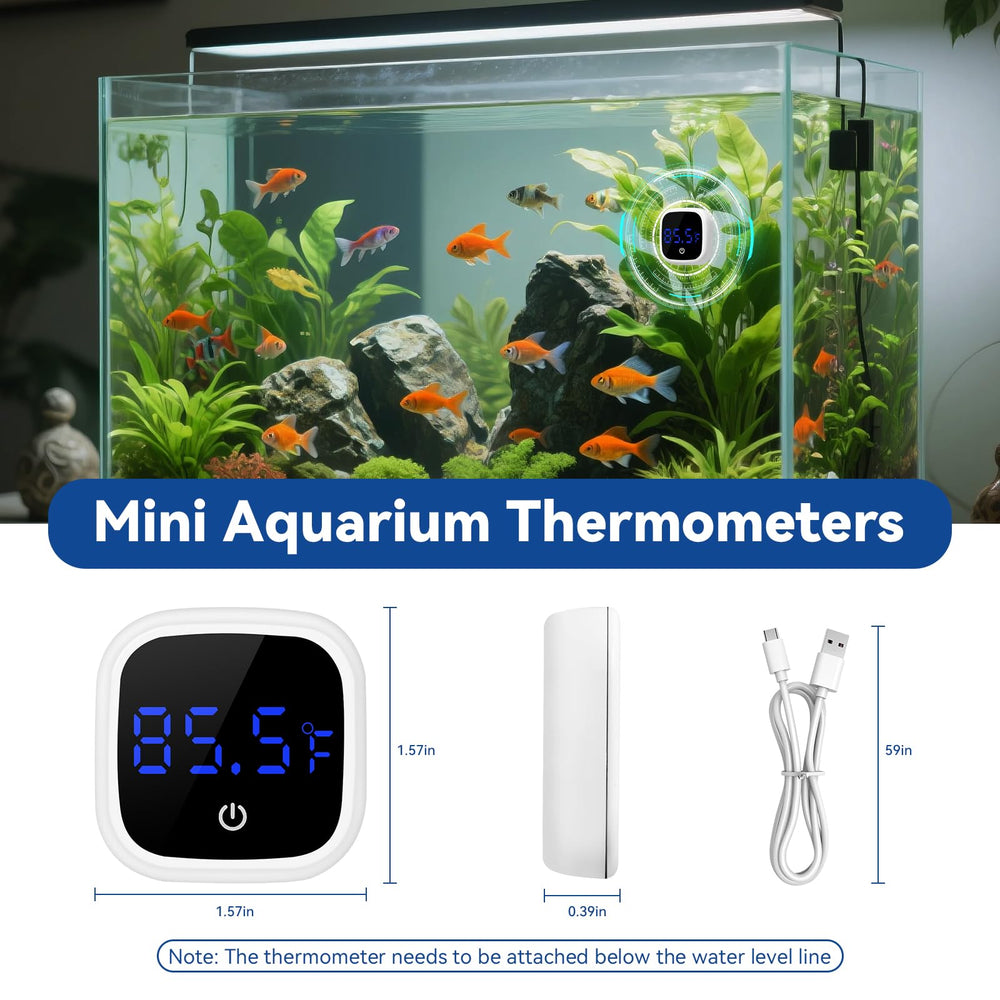 PAULTEMP comparaison de taille avec objet pour mieux apprécier dimensions
