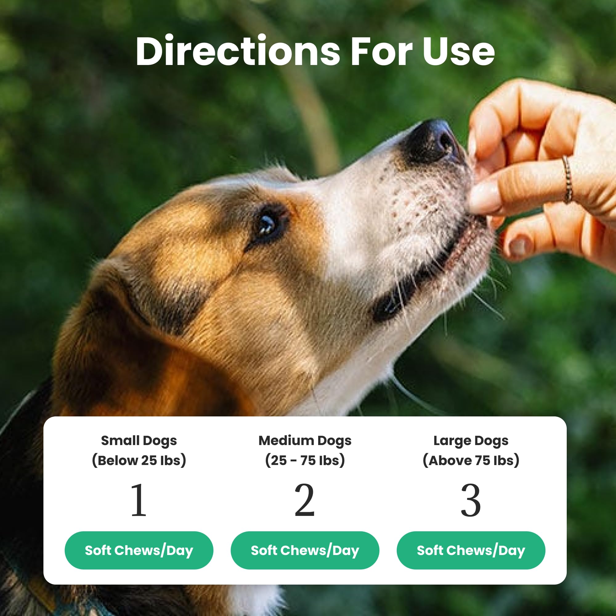 Masticable Paw Balance à côté d'une pièce pour évaluer la taille