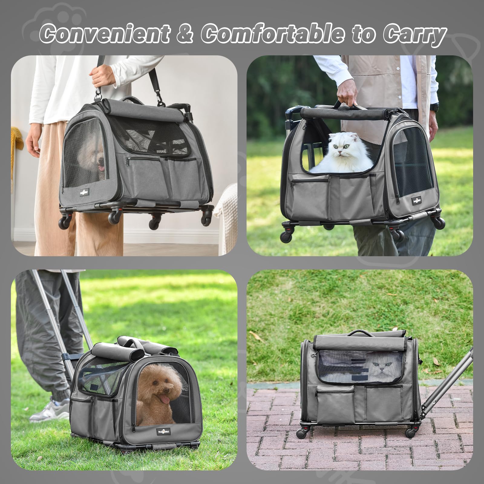 PAW BALLET transporteur en usage lors d'une balade pratique et stable