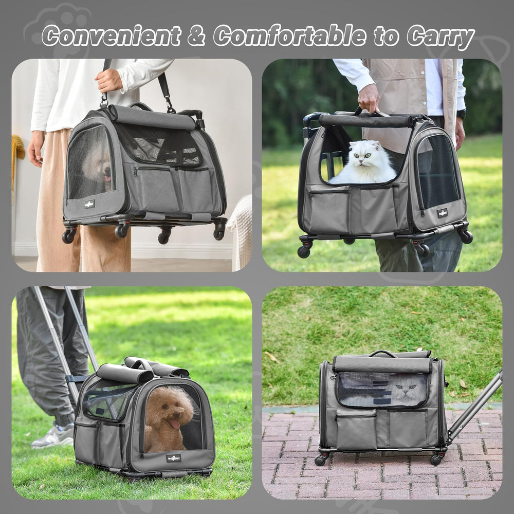 PAW BALLET transporteur en usage lors d'une balade pratique et stable