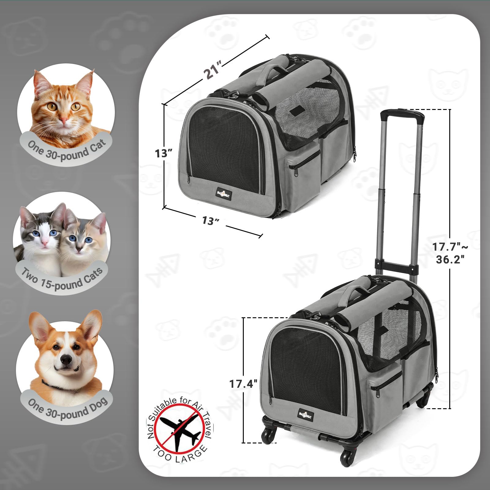 PAW BALLET poignée télescopique réglable pour confort et maniabilité