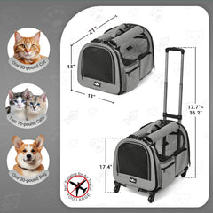PAW BALLET poignée télescopique réglable pour confort et maniabilité