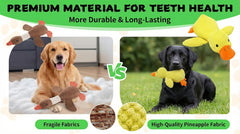 Paw-FECT Piece canard en usage avec chien jouant et se divertissant