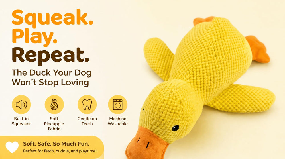 Paw-FECT Piece gros plan texture peluche douce pour confort buccal