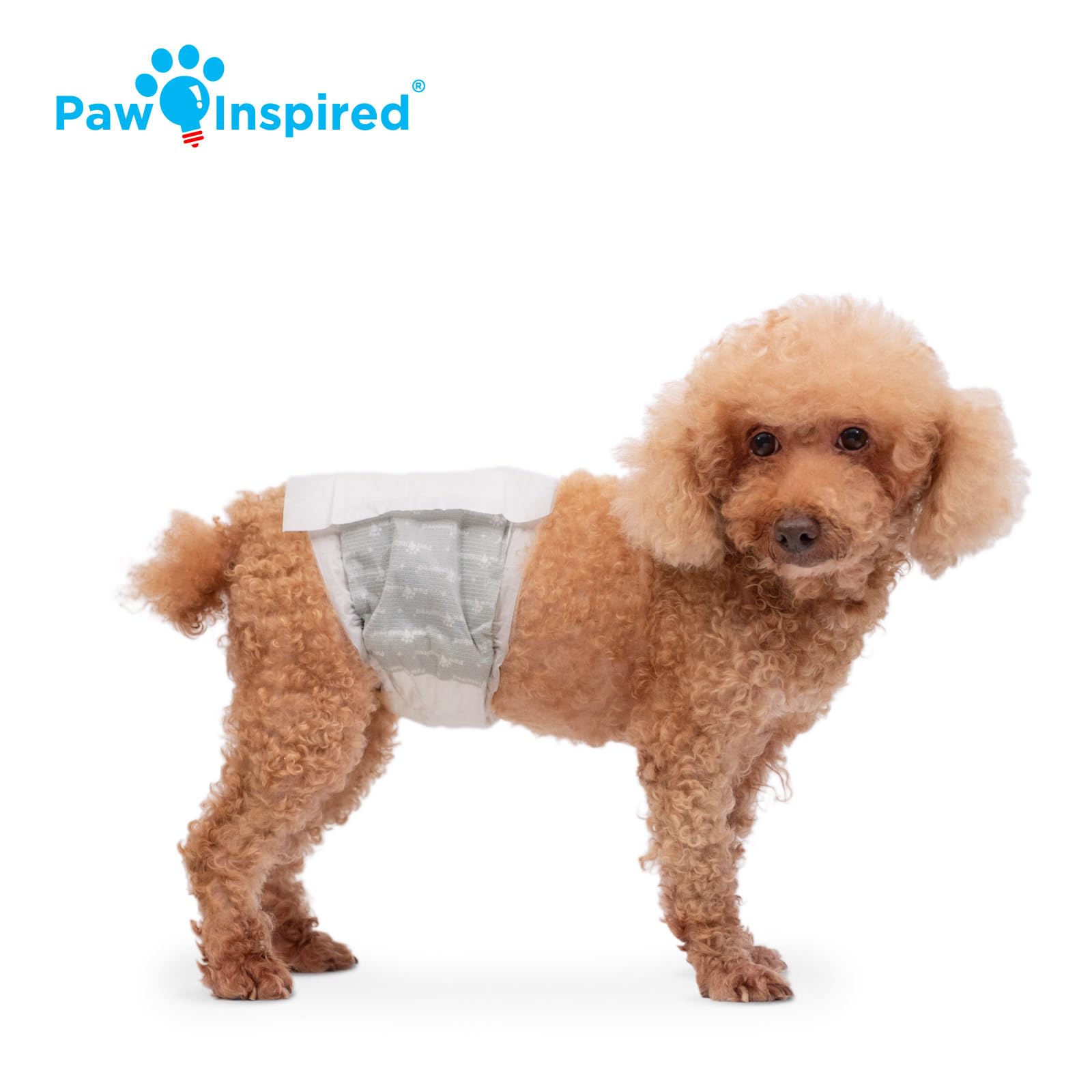 Paw Inspired focus sur les attaches repositionnables qui protègent le pelage
