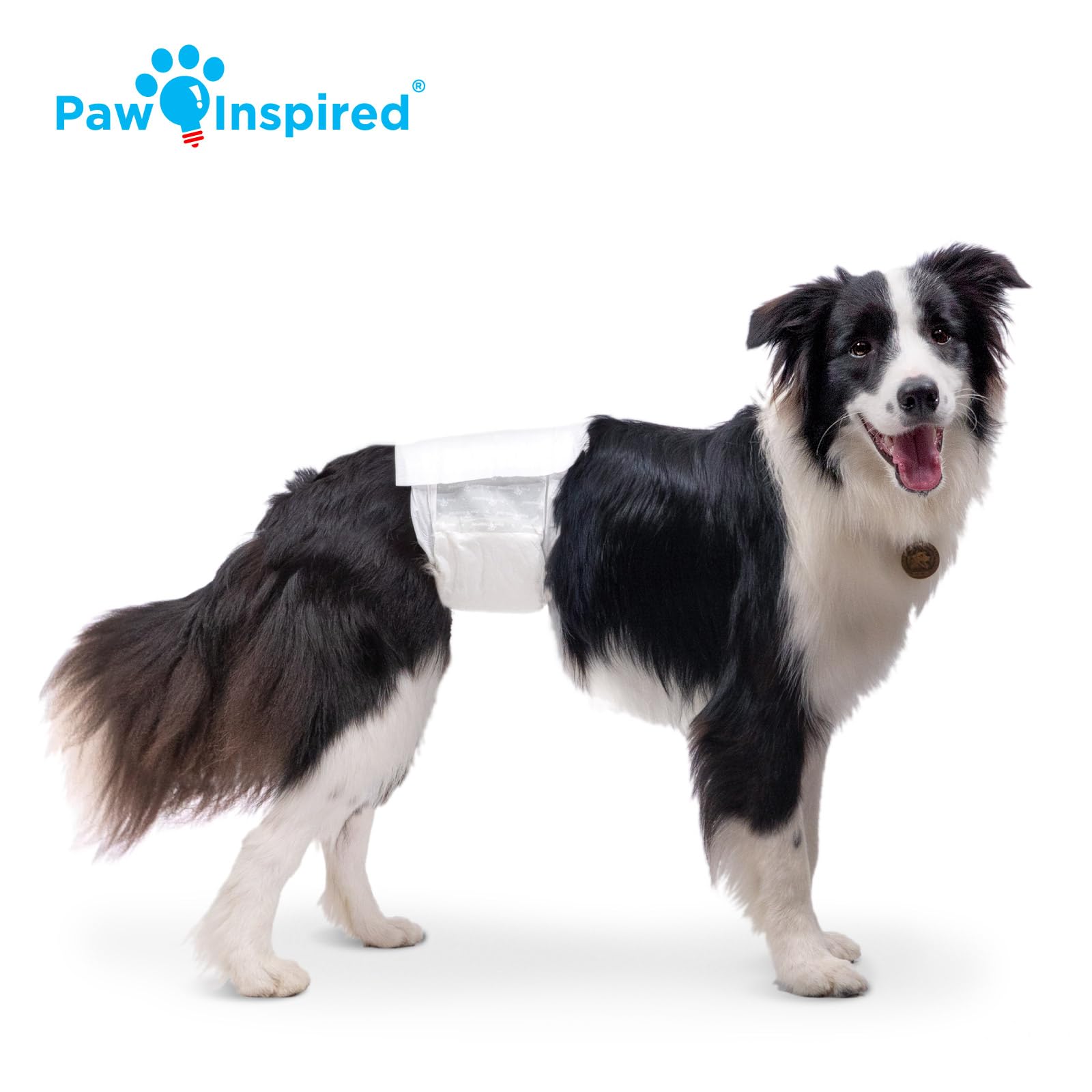 Paw Inspired attaches repositionnables illustrant un maintien confortable et sans accrocs