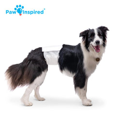 Paw Inspired attaches repositionnables illustrant un maintien confortable et sans accrocs