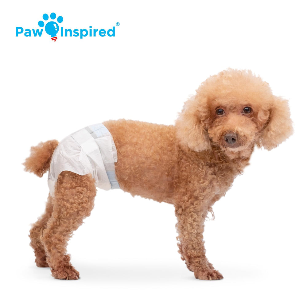Paw Inspired chienne portant la couche confortable pour mobilité et protection