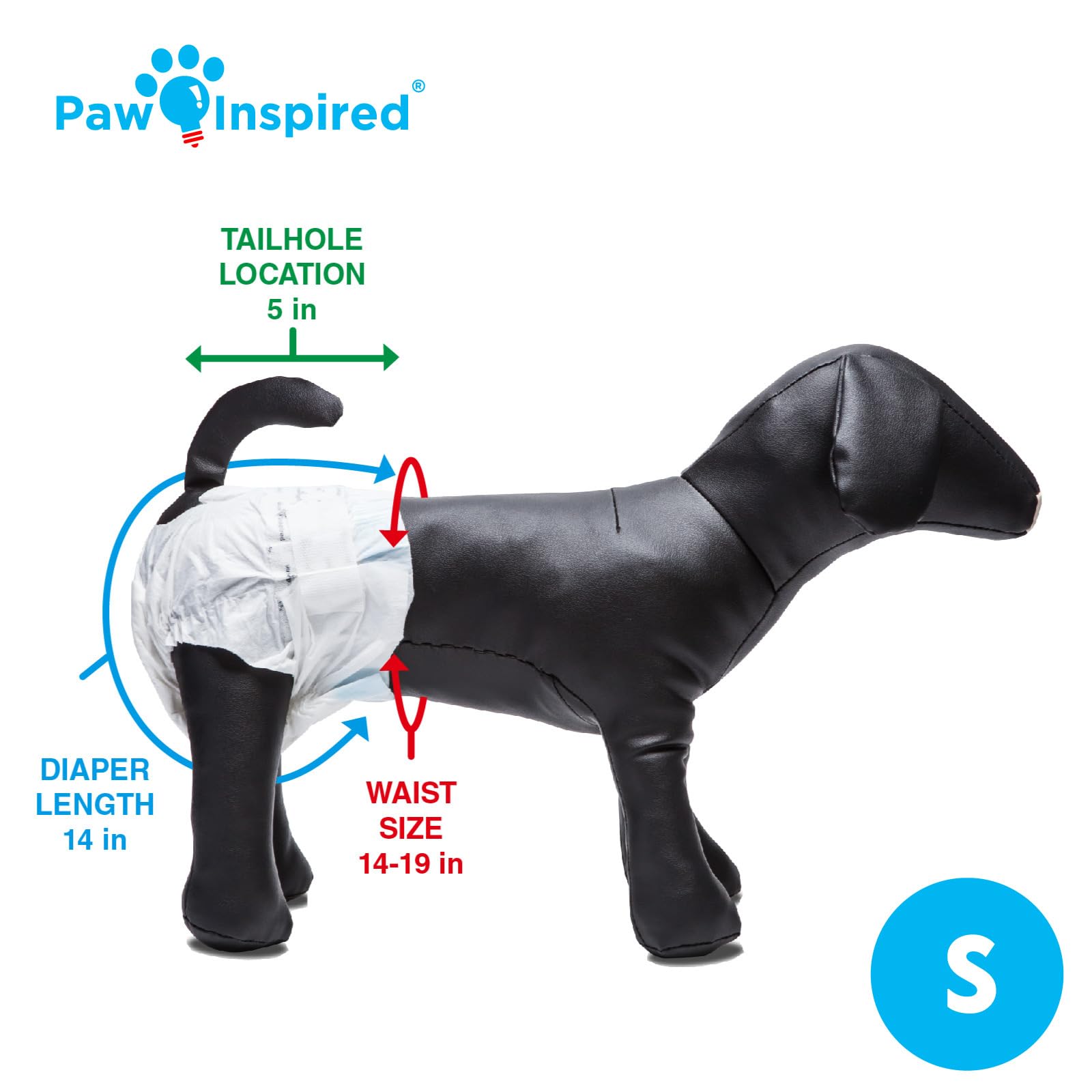 Paw Inspired comparaison d'échelle taille S illustrant ajustement précis
