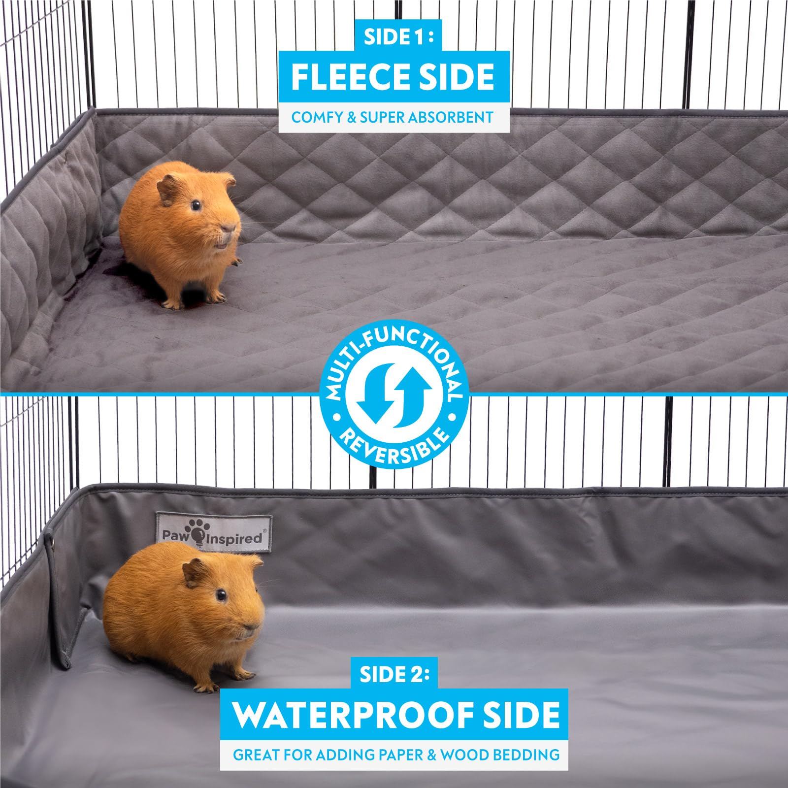 Paw Inspired focus sur bords surélevés qui retiennent litière et liquides