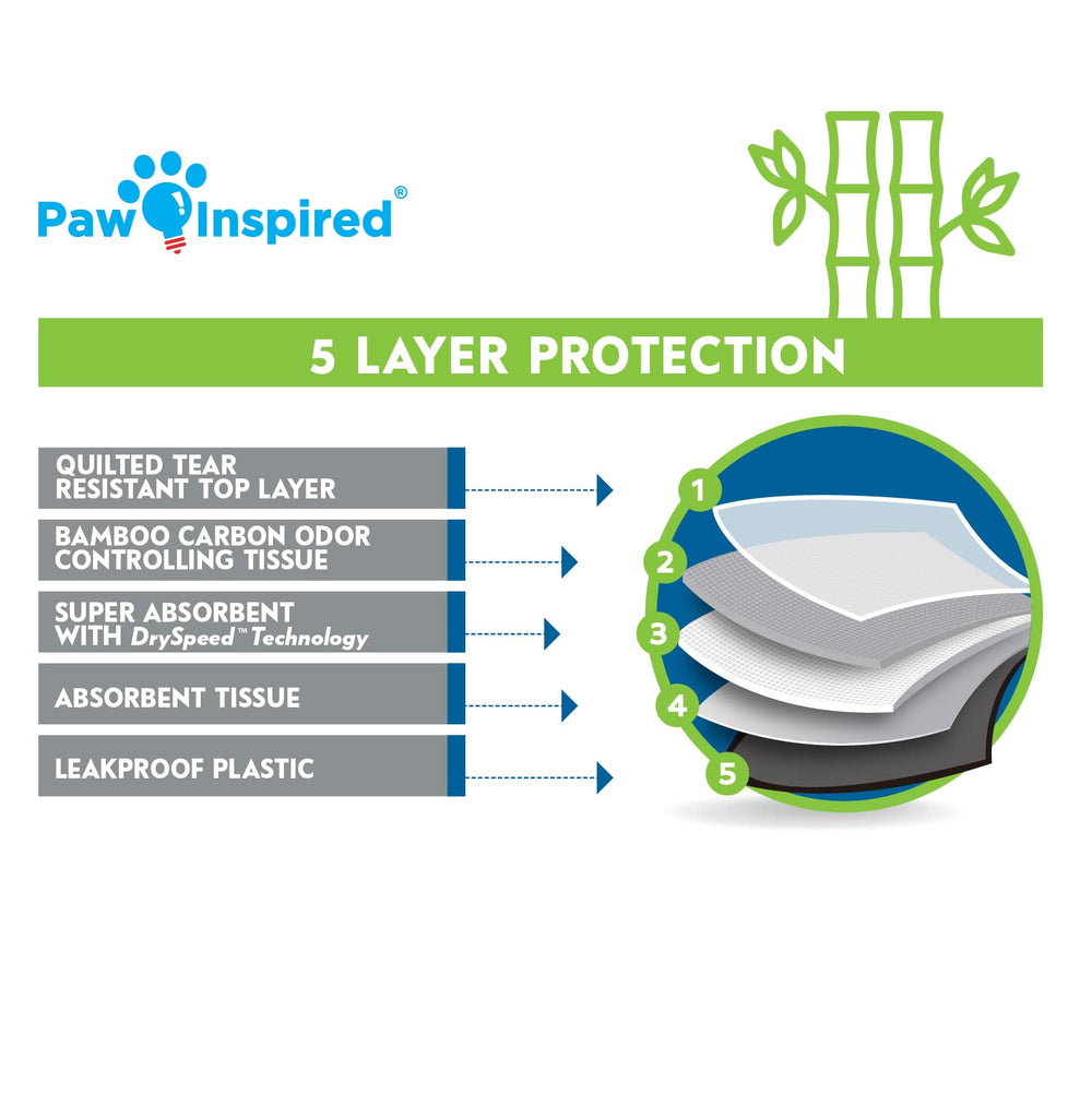 Paw Inspired étiquette détaillée avec dimensions et caractéristiques techniques