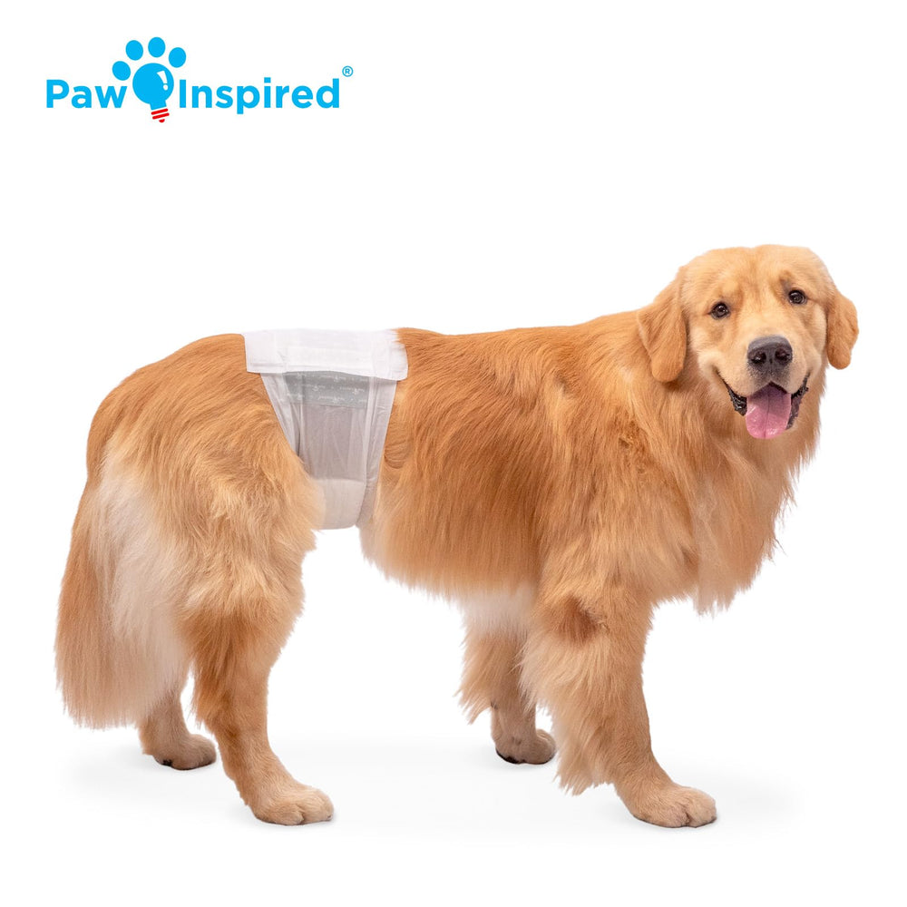 Paw Inspired fermetures repositionnables résistantes aux poils pour meilleur ajustement
