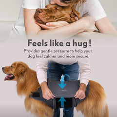 Paw Inspired gilet porté par chien en extérieur pour réduction du stress