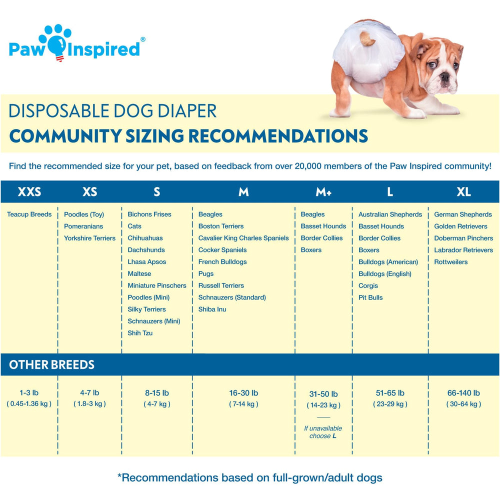 Paw Inspired gros plan du noyau absorbant avec gel DrySpeed pour sécheresse
