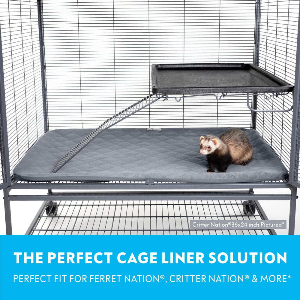Paw Inspired scène de vie avec cage équipée pour un environnement soigné