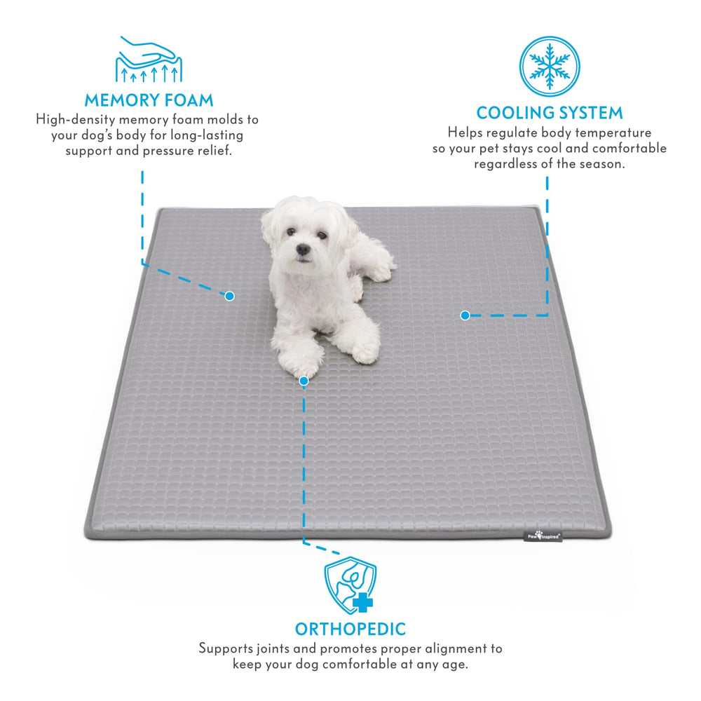 Paw Inspired gros plan mousse à mémoire montrant soutien durable