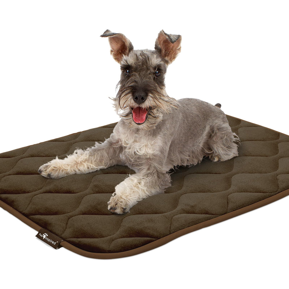 Paw Inspired tapis dans un salon illustrant confort et intégration décor