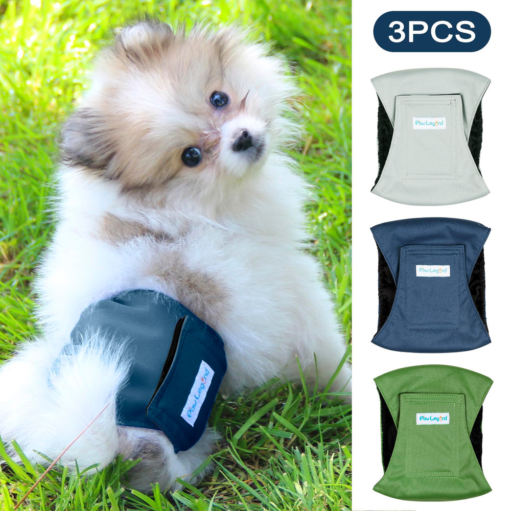 Paw Legend chien mâle portant la bande abdominale en intérieur, protection discrète