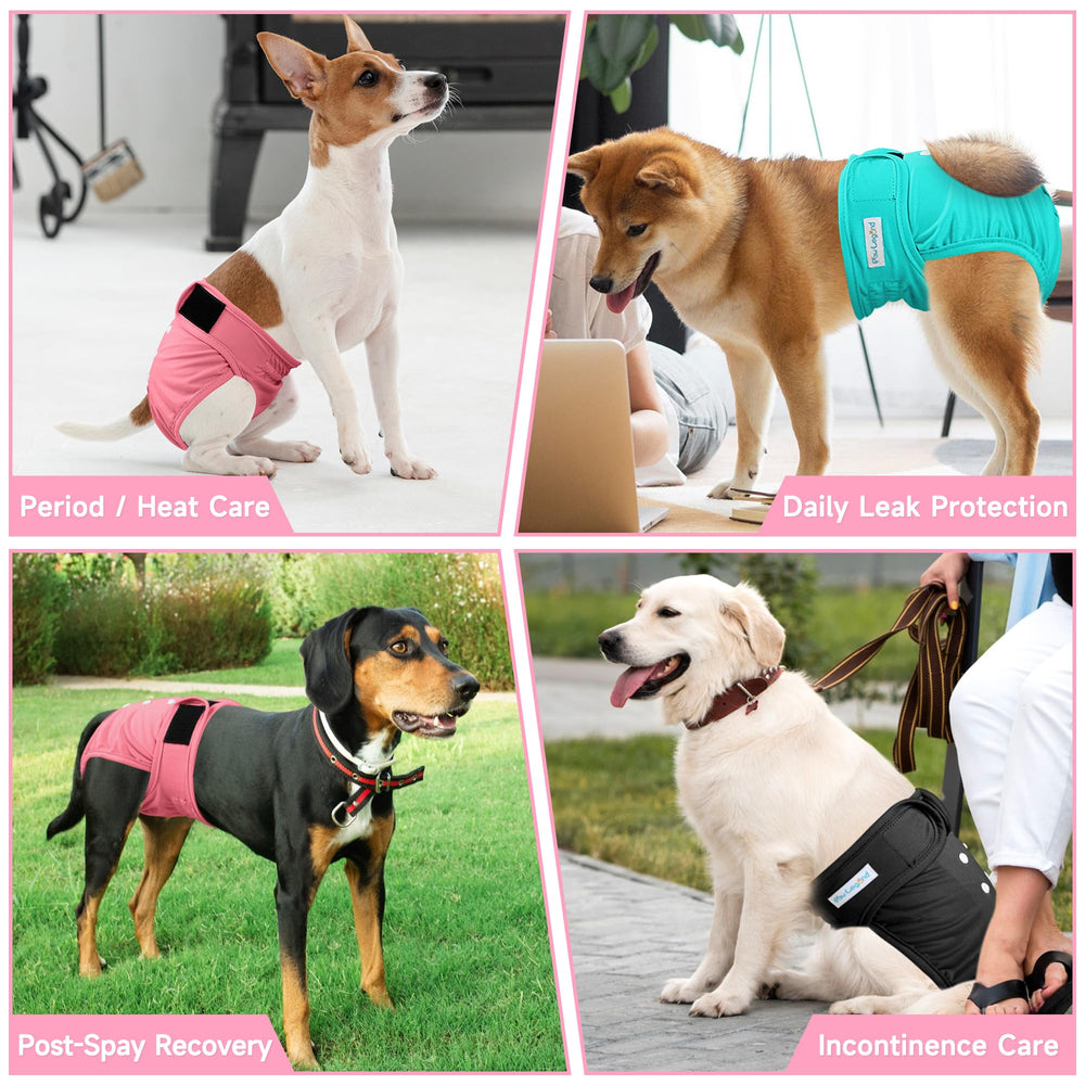 Paw Legend détail des coutures et élastiques pour étanchéité fiable