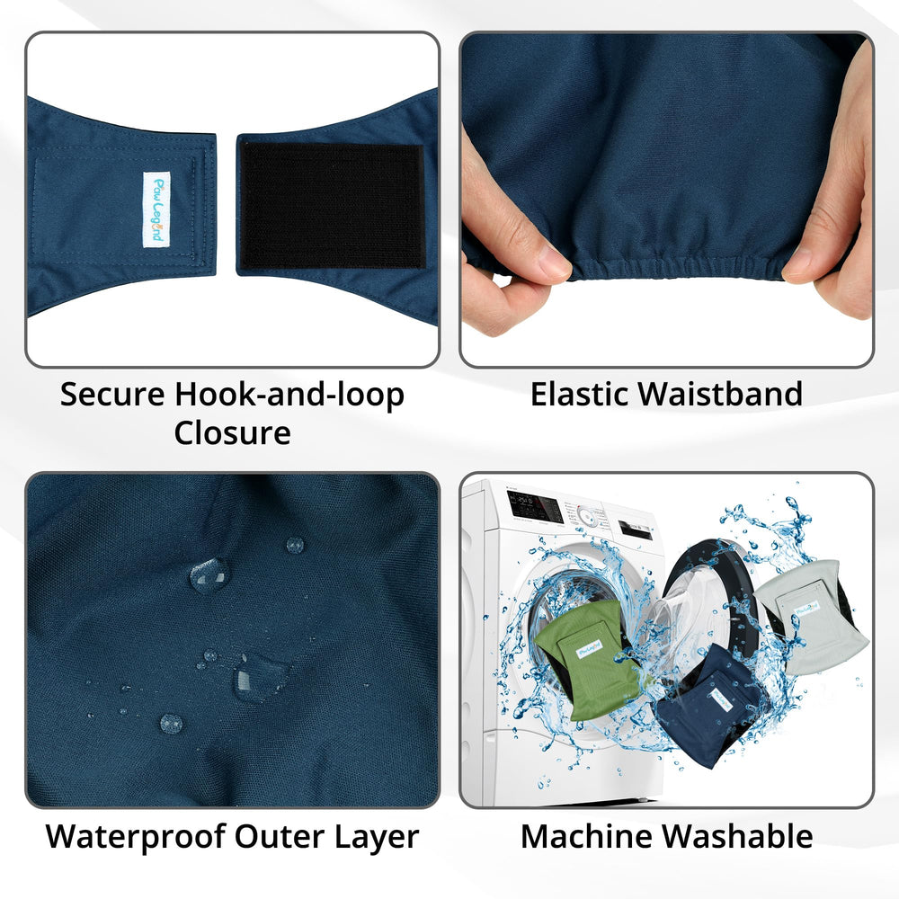 Paw Legend détail de la fermeture velcro sécurisée assurant un bon ajustement