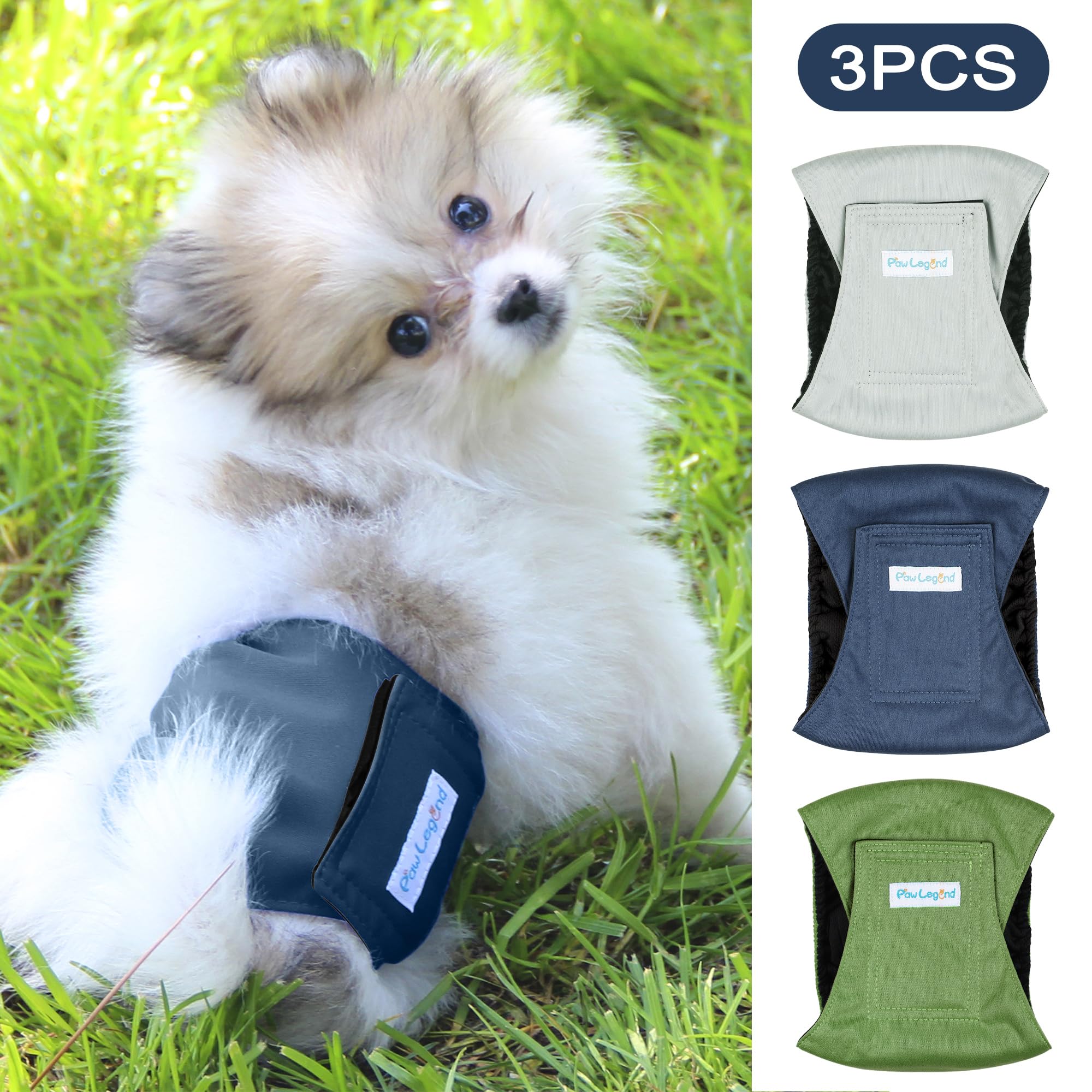 Paw Legend ceinture en usage sur chien lors d'une promenade apportant sécurité