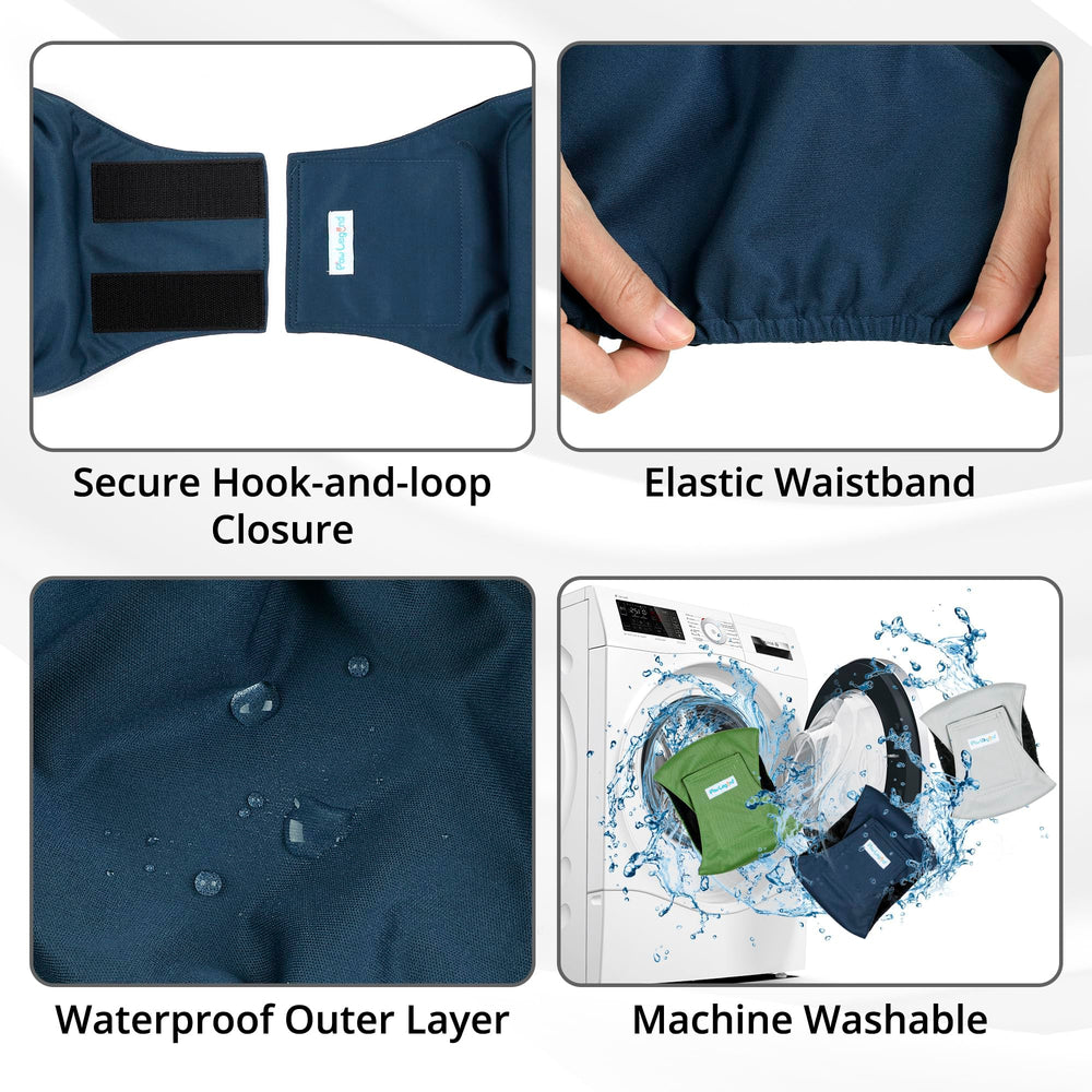 Paw Legend détail du velcro assurant maintien sûr et ajustable