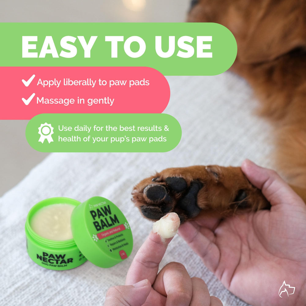 Paw Nectar pot ouvert posé à côté d'une patte pour comparaison d'échelle