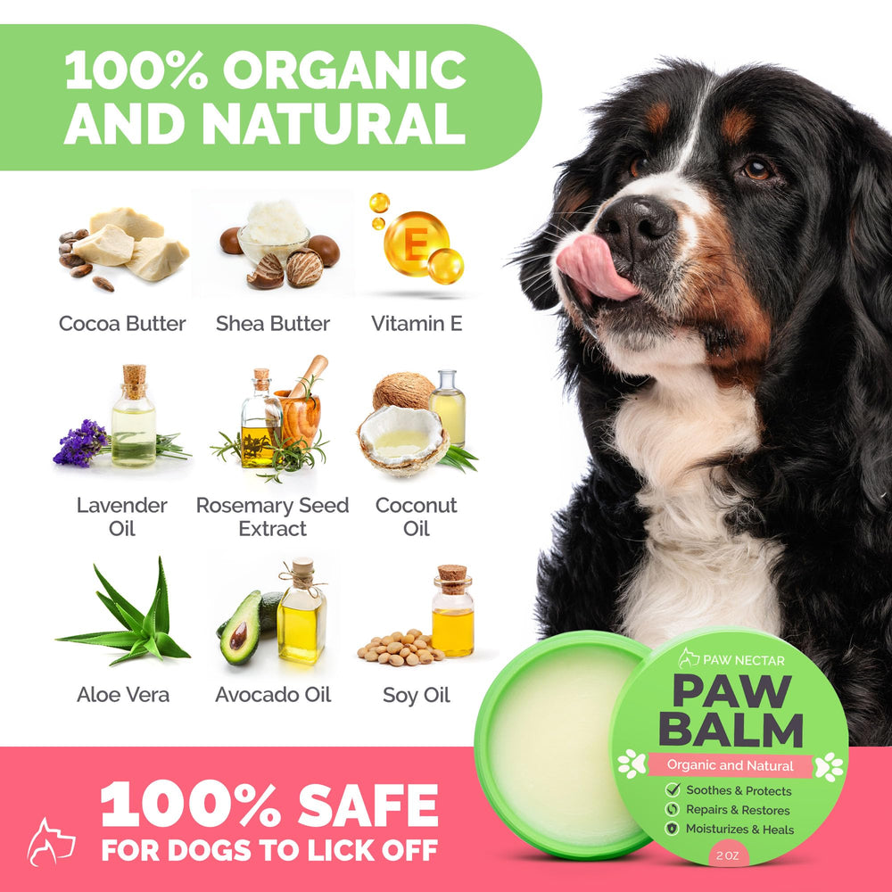 Paw Nectar gros plan sur la texture crémeuse montrant hydratation intense