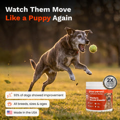 Paw Parent poudre polyvalente montrée près d’un bol pour dosage facile