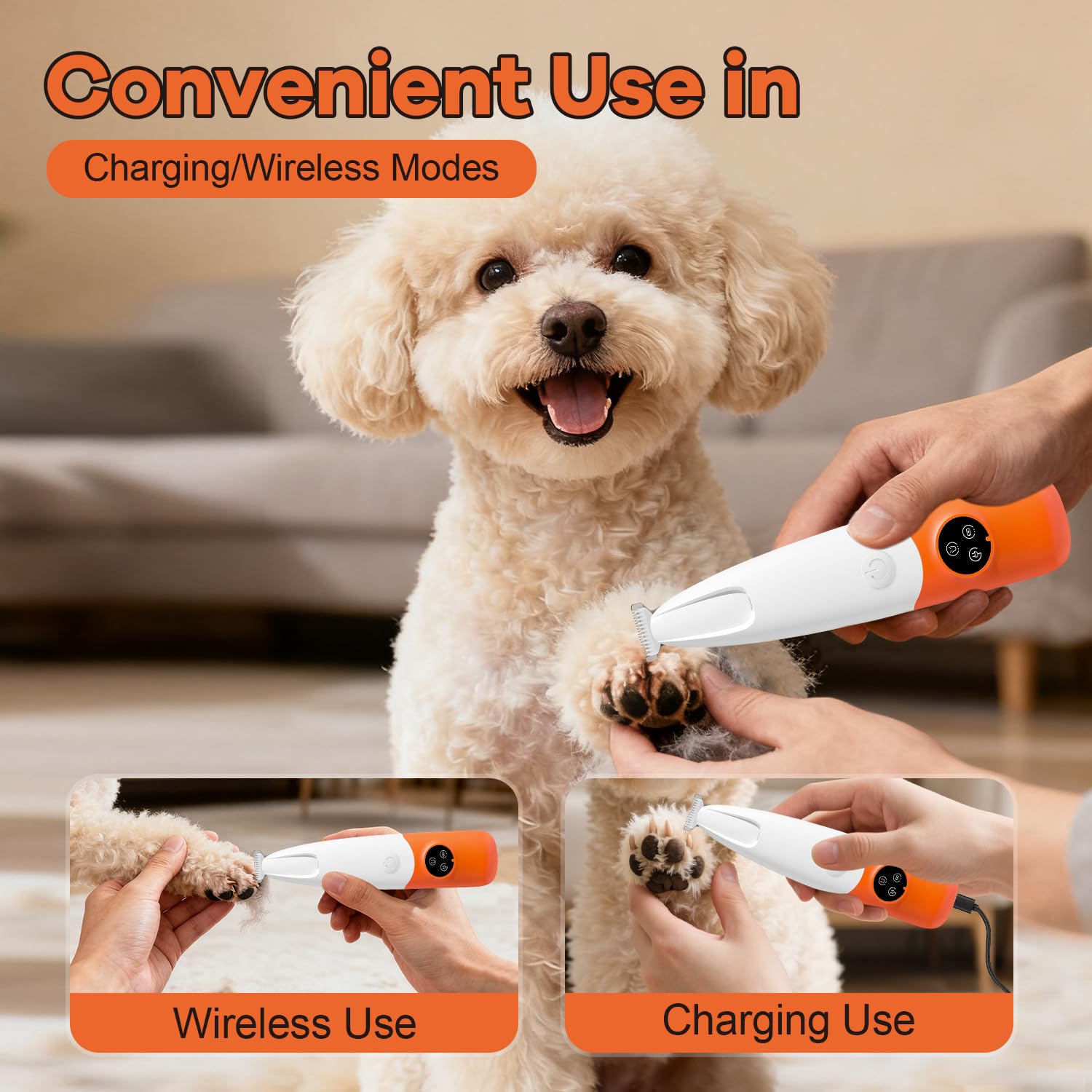 PAW PLANET kit complet posé sur table, solution tout-en-un