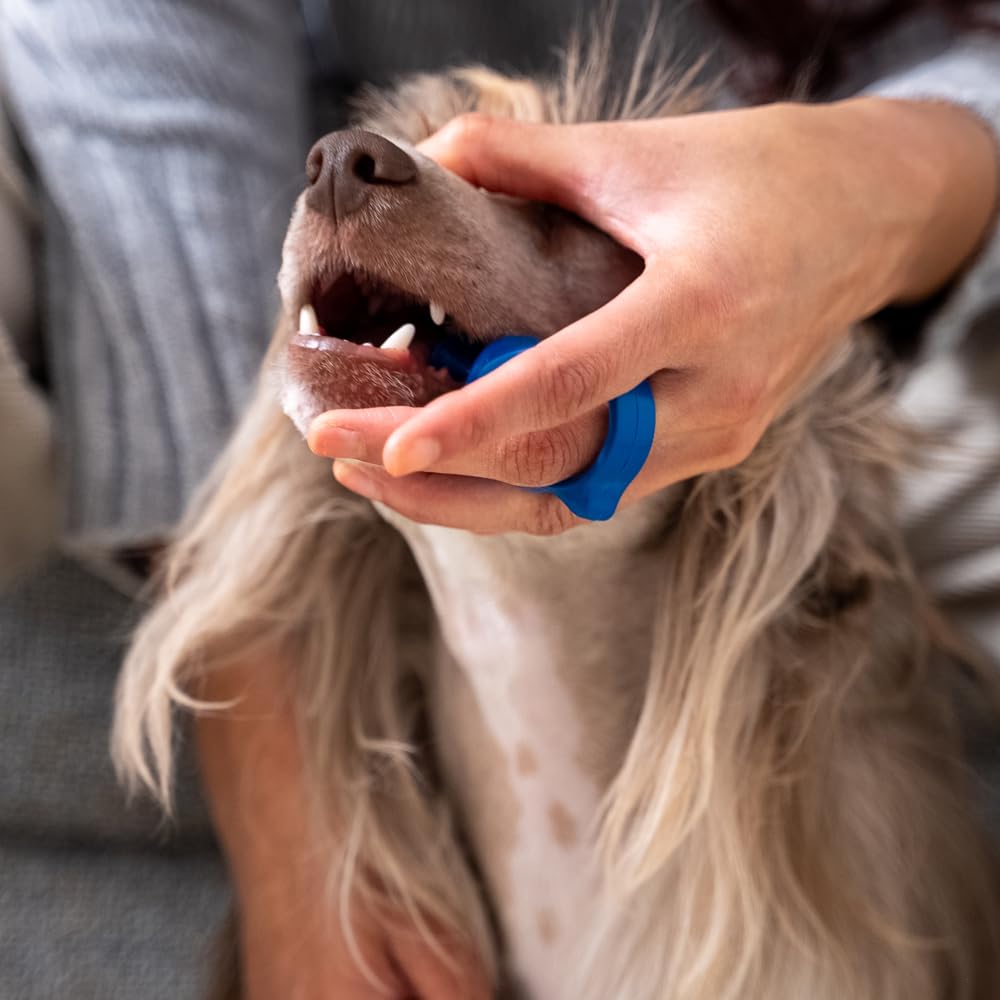 Paw Ready utilisé sur un chiot pour un brossage calme et progressif