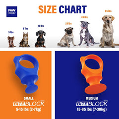 Paw Ready à côté d’une brosse dentaire illustrant compatibilité pratique