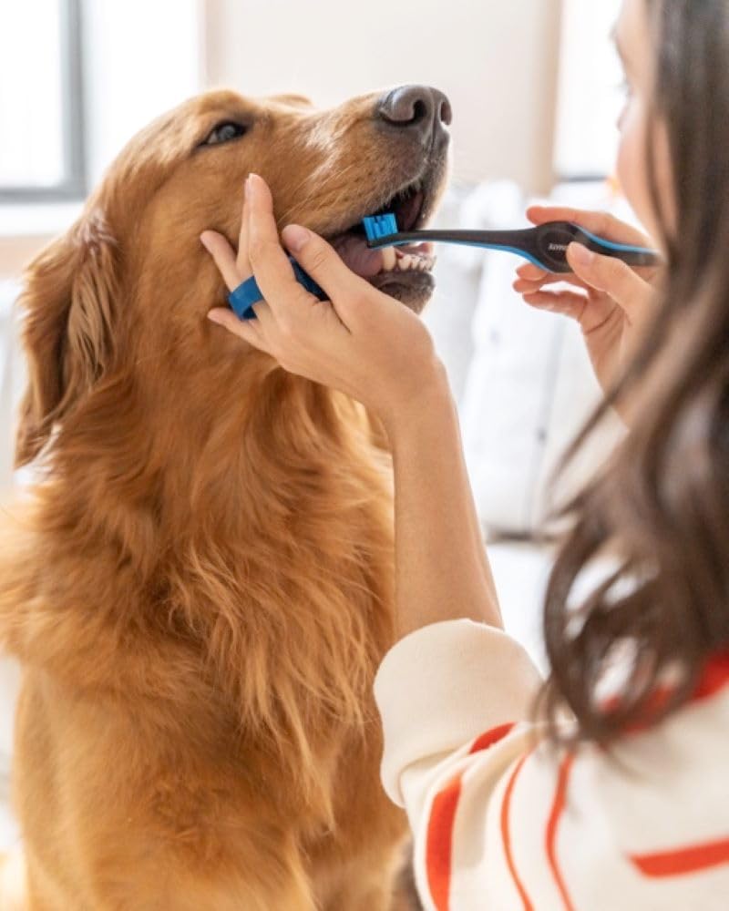 Paw Ready comparaison taille avec main pour ajustement moyen sûr