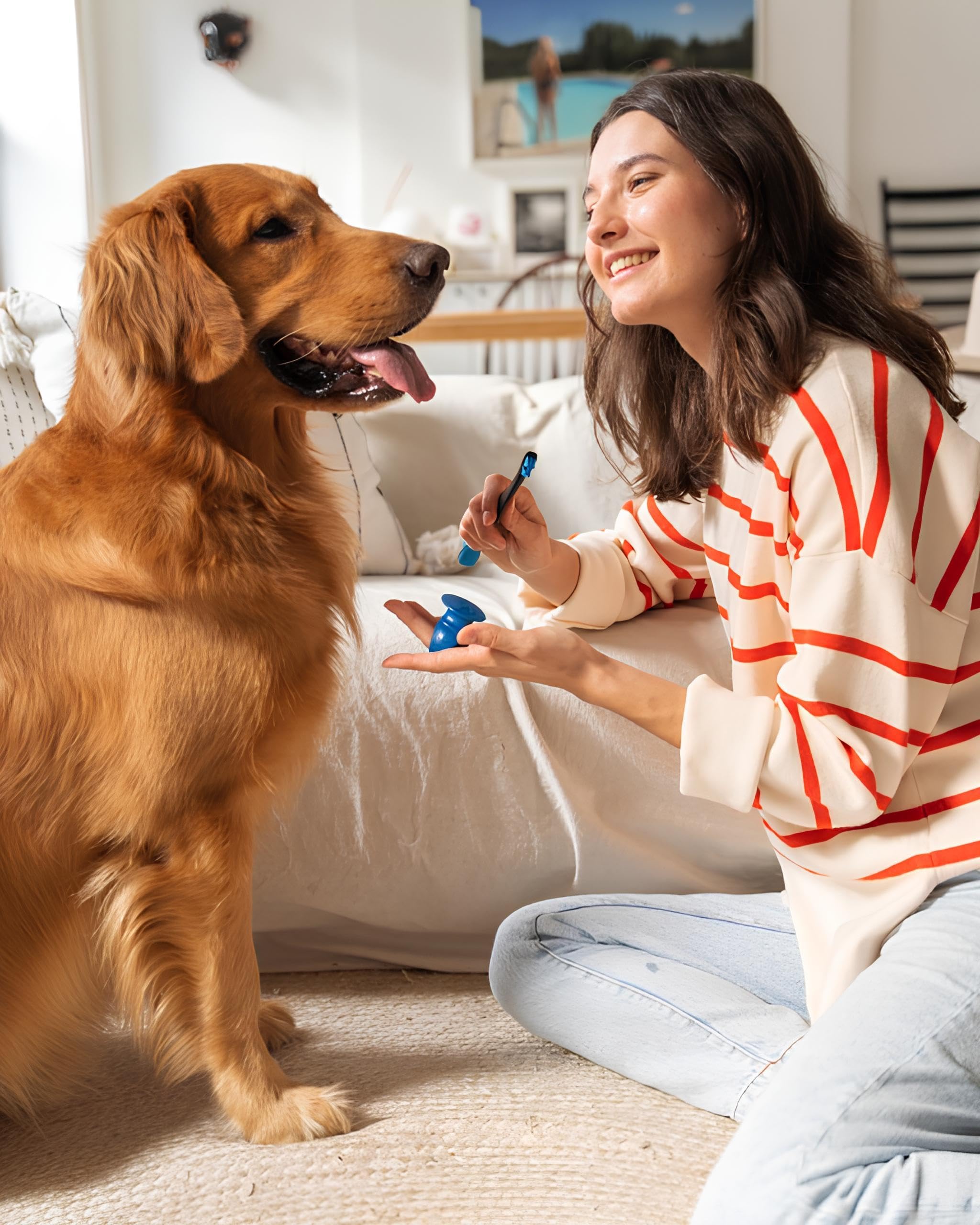 Paw Ready avec brosse pour dents d'animaux prêt à l'emploi