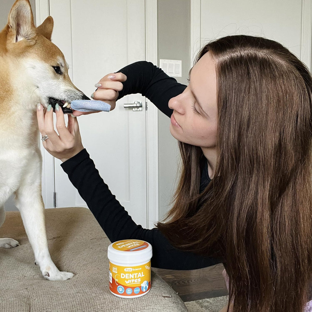 Paw Science chat tolérant l'utilisation pour une haleine plus fraîche