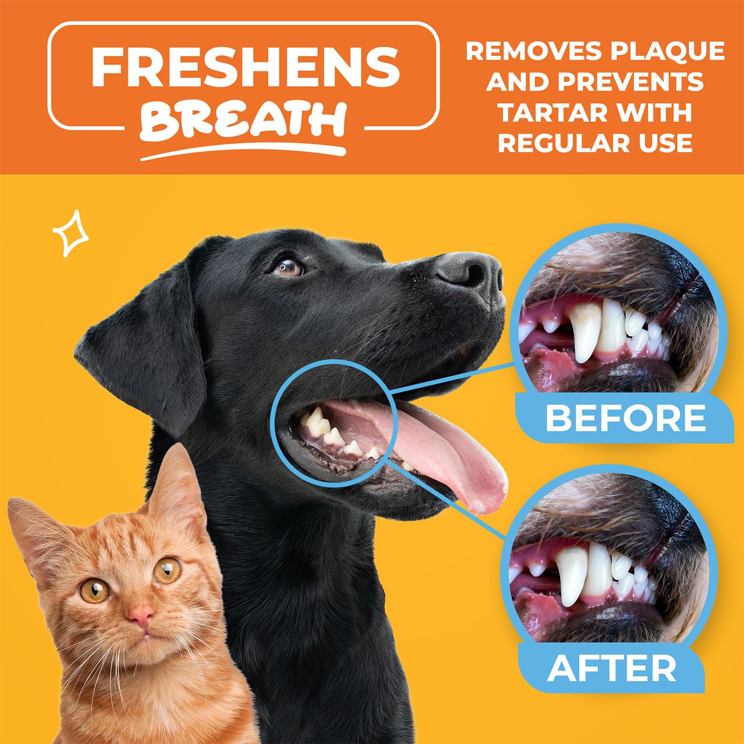 Paw Science lingette utilisée sur un chien, facilite le nettoyage quotidien