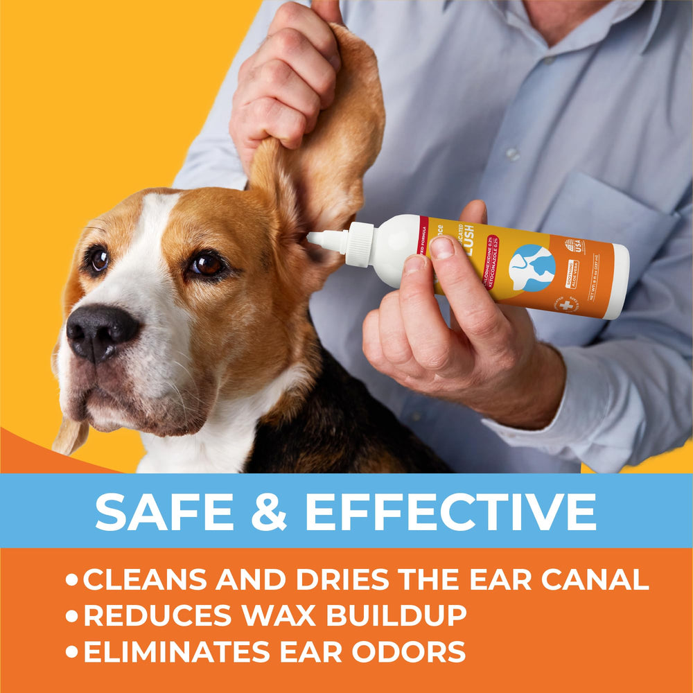 Paw Science appliqué sur chat pour calmer et assainir le conduit auriculaire