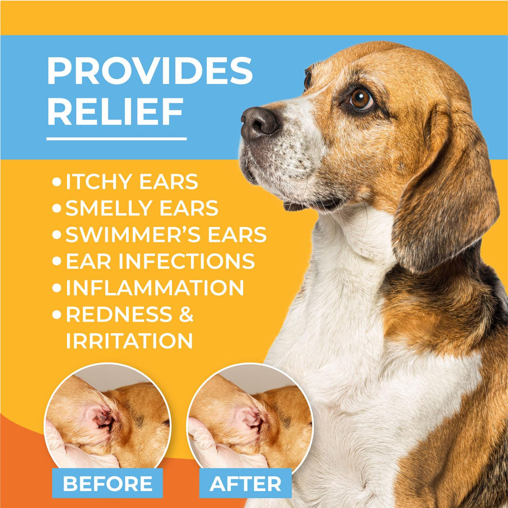 Paw Science en utilisation sur chien pour nettoyer et réduire les odeurs