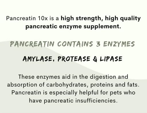 Paw Vitality mise en scène lifestyle animal avec Pancreatin 10X pour routine quotidienne