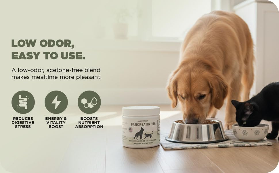 Paw Vitality poudre Pancreatin 10X saupoudrée sur nourriture de chien, digestion aidée