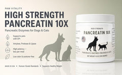 Paw Vitality gros plan de la poudre Pancreatin 10X montrant texture fine