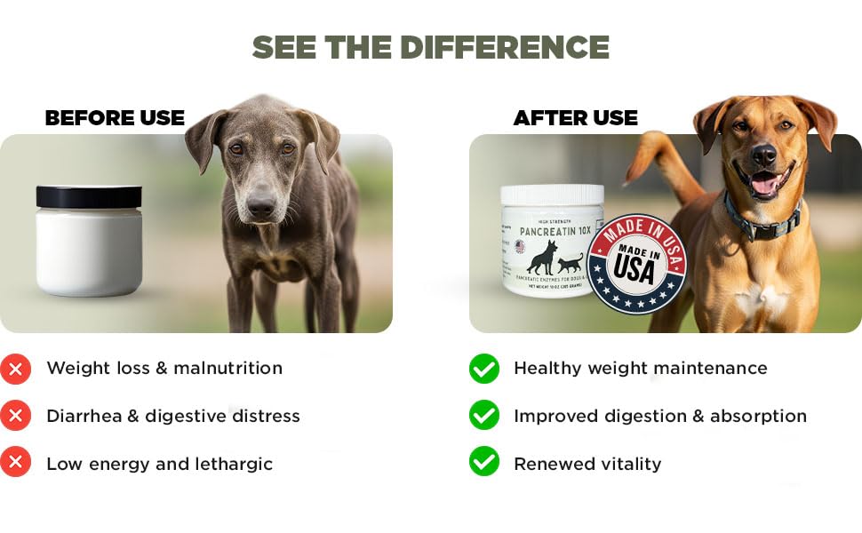 Paw Vitality cuillère doseuse près du flacon pour un dosage précis