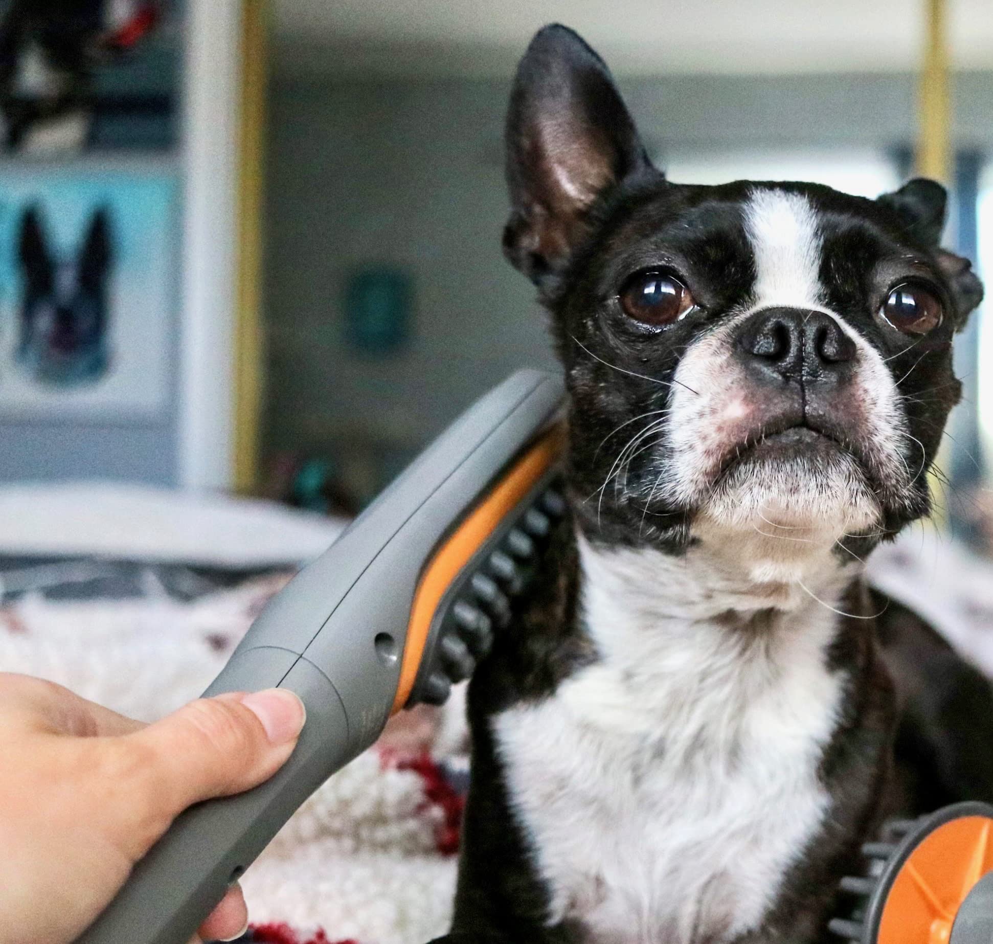 PAW WAVE comparaison taille montrant compacité et portabilité pratique