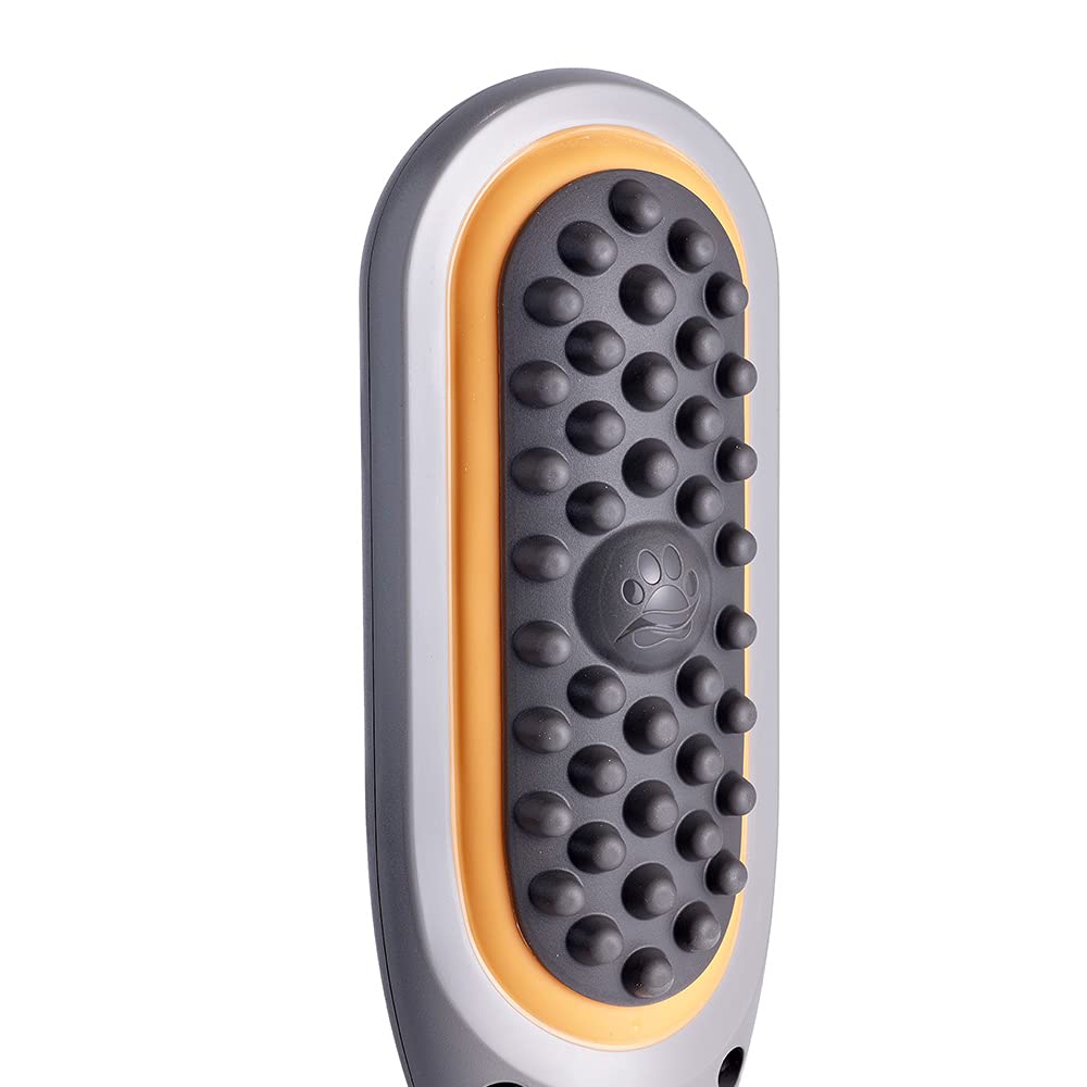 PAW WAVE contenu du pack montrant accessoires et rangement pratique