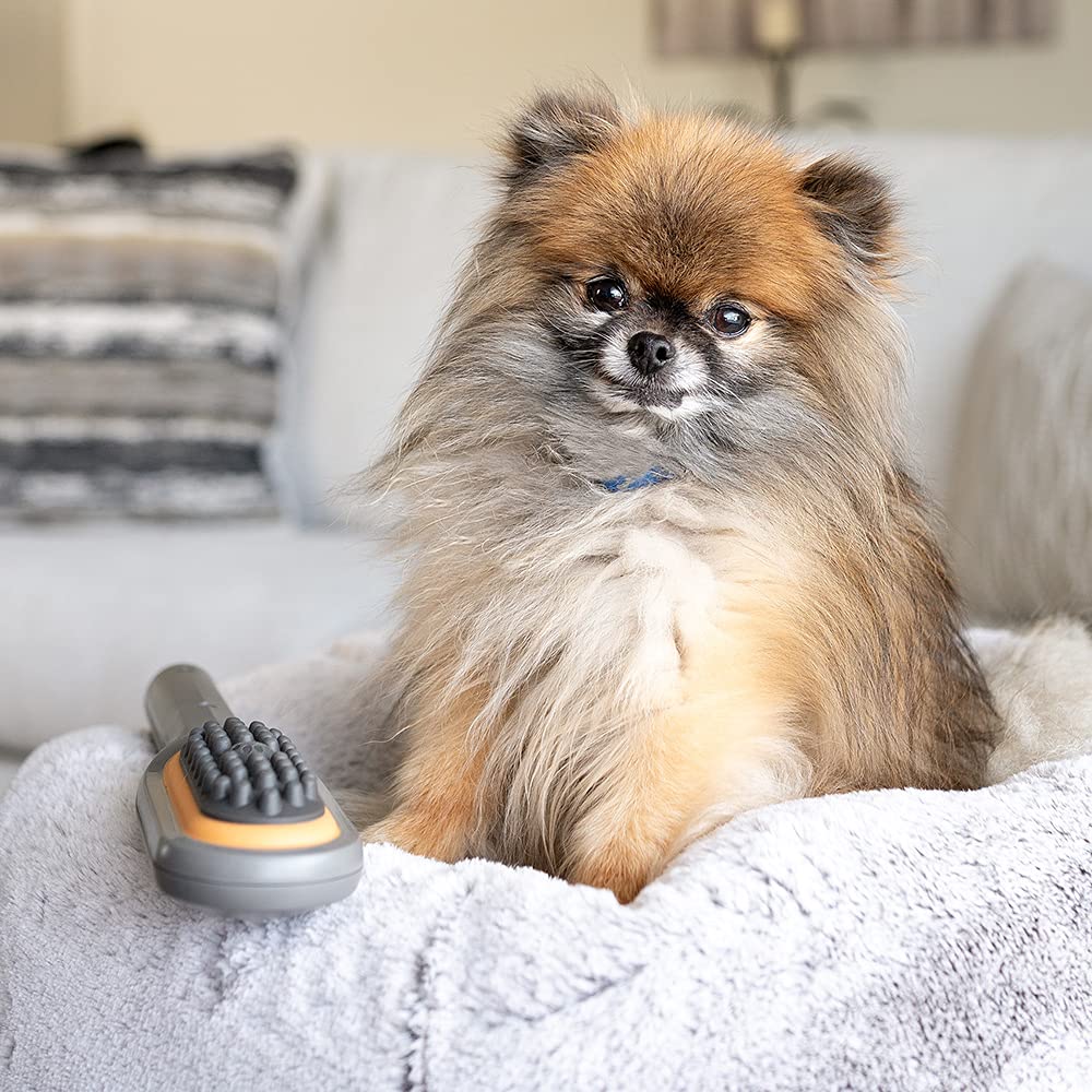 PAW WAVE utilisé sur chat réduisant stress pendant le toilettage